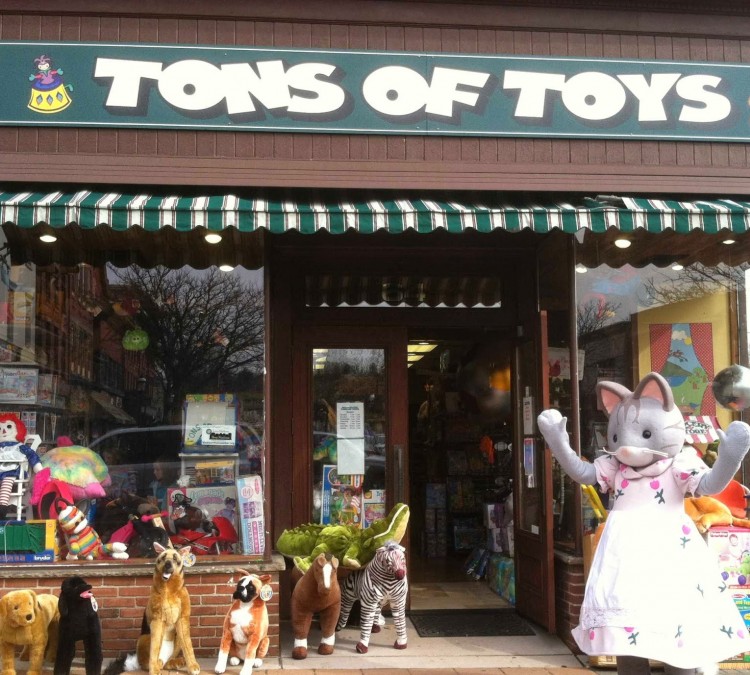 tons-of-toys-photo
